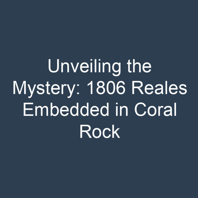 Unveiling the Mystery: 1806 Reales Embedded in Coral Rock